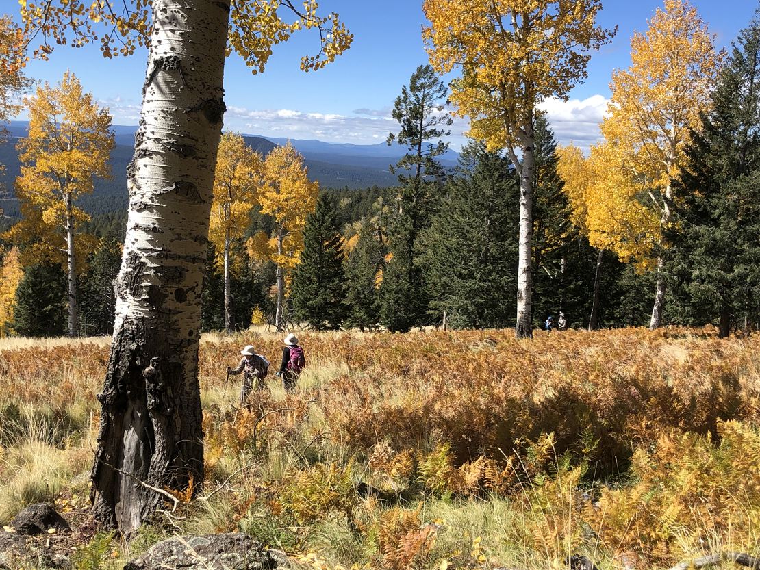 Kachina Trail